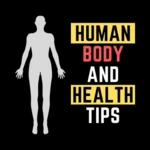 human health tips (bengali) android application logo